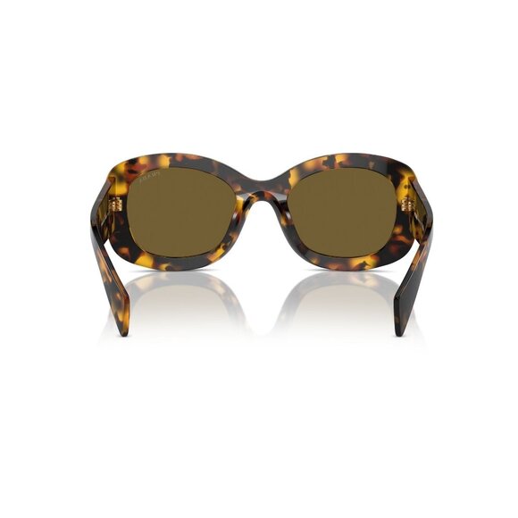 New PRADA Havana Butterfly PR A13S VAU-01T Sunglasses Women - Picture 5 of 6